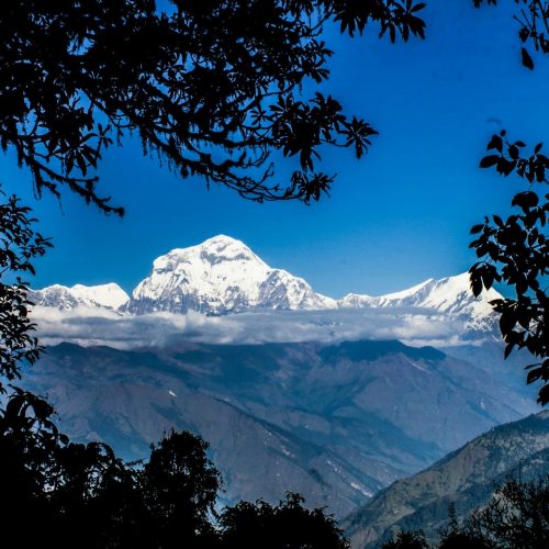 4 days Ghorepani Poon Hill Trek