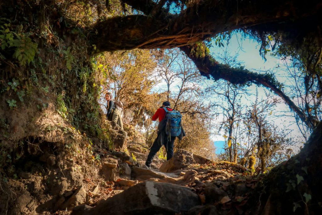 5 Days Mardi Himal Trek