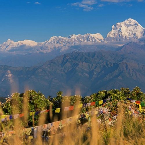Ghorepani Poon Hill Trek Scenic Views