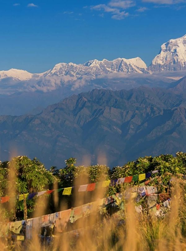 Ghorepani Poon Hill Trek Scenic Views
