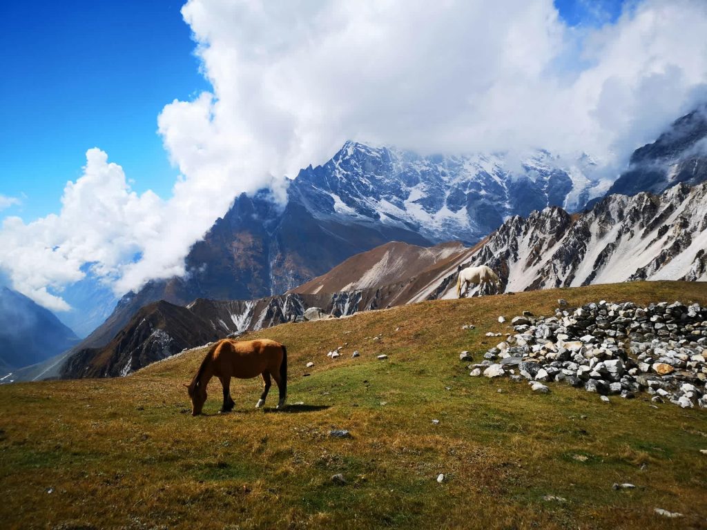 Langtang Valley Scenic Views