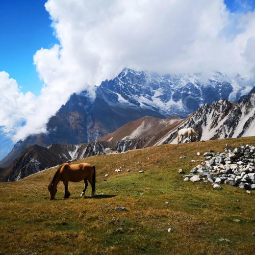 Langtang Valley Scenic Views