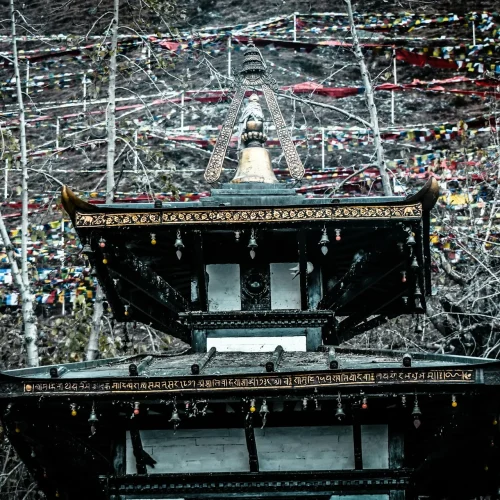 Muktinath Trek