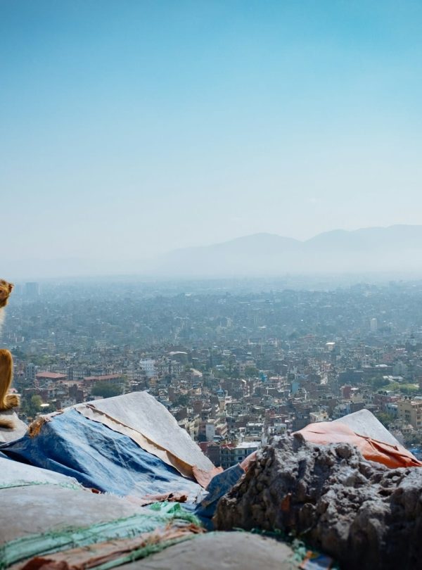 Swyambunath Top View