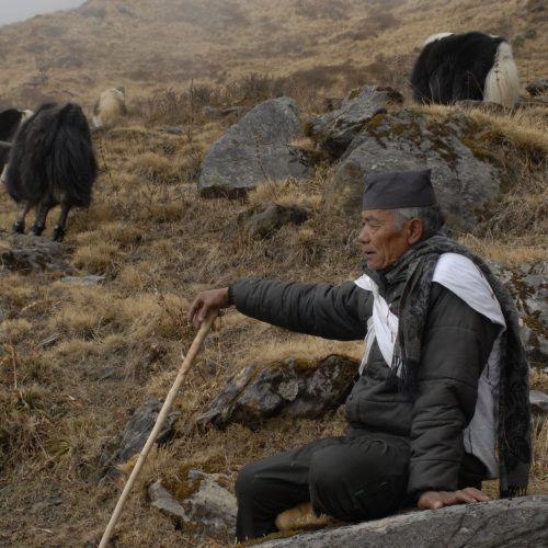 Tamang Heritage Trail Trek - 7 days