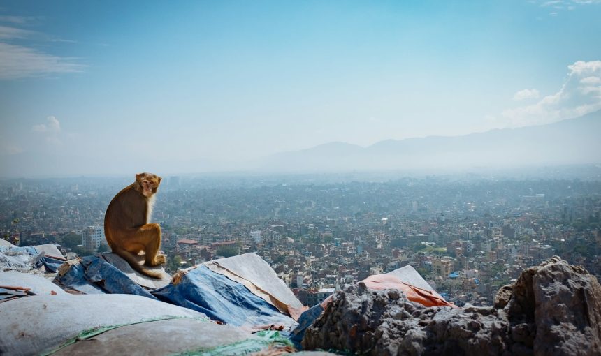 Best Season to Visit Kathmandu Nepal 2026: Month-by-Month Guide